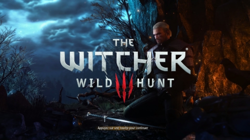 The Witcher 3_ Wild Hunt_20150607191019.jpg